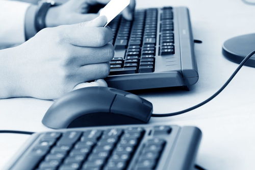 計(jì)算機(jī)專業(yè)在校大學(xué)生如何通過計(jì)算機(jī)系統(tǒng)服務(wù)提升競(jìng)爭(zhēng)力